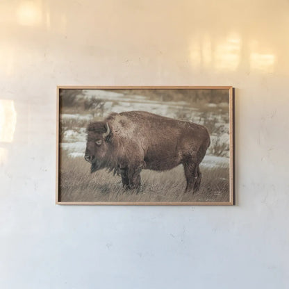 Solitary by Nathan Larson. shown as a paper print in a natural frame. Available as a archival giclee rolled canvas, fine art paper, or poster print. SKU 84314i.