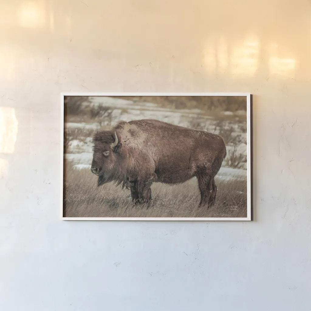 Solitary by Nathan Larson. shown as a paper print in a white frame. Available as a archival giclee rolled canvas, fine art paper, or poster print. SKU 84314i.