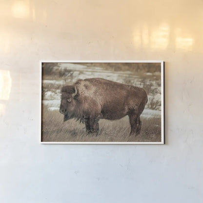 Solitary by Nathan Larson. shown as a paper print in a white frame. Available as a archival giclee rolled canvas, fine art paper, or poster print. SKU 84314i.