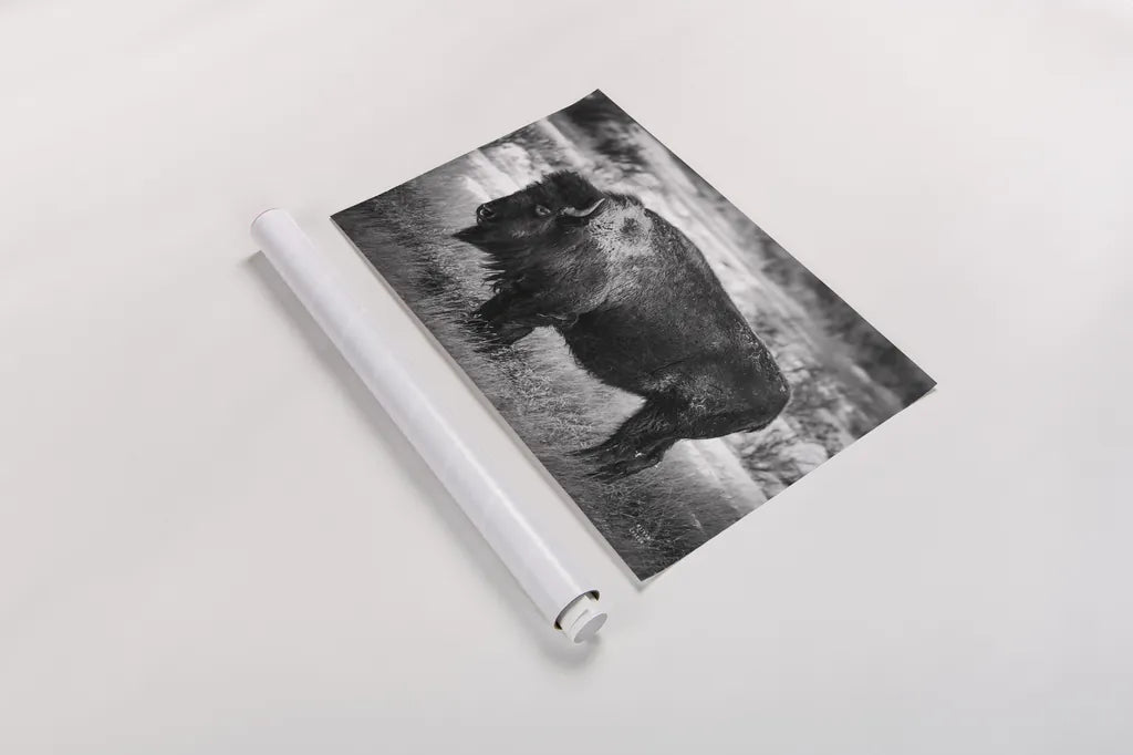 Solitary BW by Nathan Larson. shown as a rolled paper print. Available as archival giclee rolled canvas, fine art paper, or poster print. SKU 84315i.