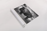 Solitary BW by Nathan Larson. shown as a rolled paper print. Available as archival giclee rolled canvas, fine art paper, or poster print. SKU 84315i.