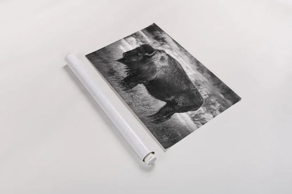 Solitary BW by Nathan Larson. shown as a rolled paper print. Available as archival giclee rolled canvas, fine art paper, or poster print. SKU 84315i.