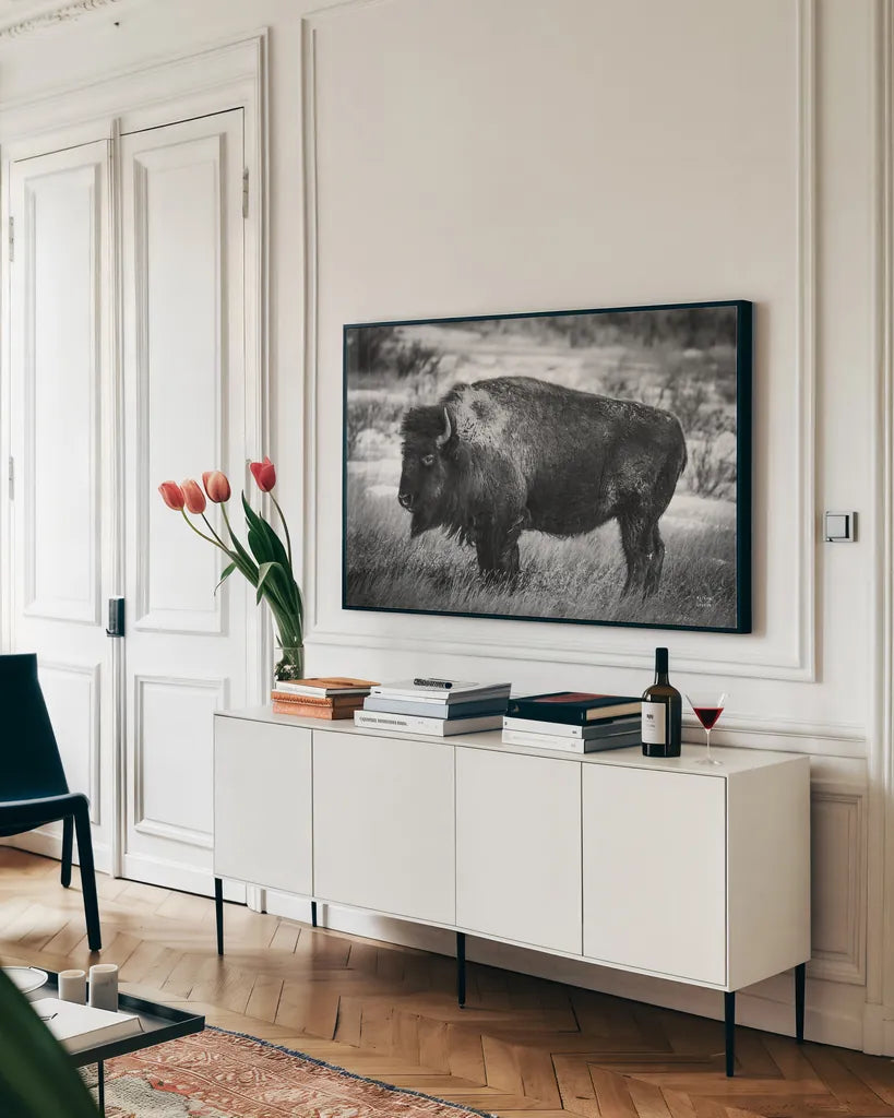 Solitary BW by Nathan Larson. shown as a framed stretched canvas in a living room above a console. Available as a archival giclee rolled canvas, fine art paper, or poster print. SKU 84315i.