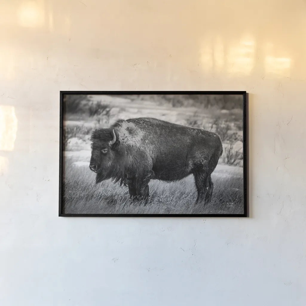 Solitary BW by Nathan Larson. shown as a paper print in a black flame. Available as a archival giclee rolled canvas, fine art paper, or poster print. SKU 84315i.