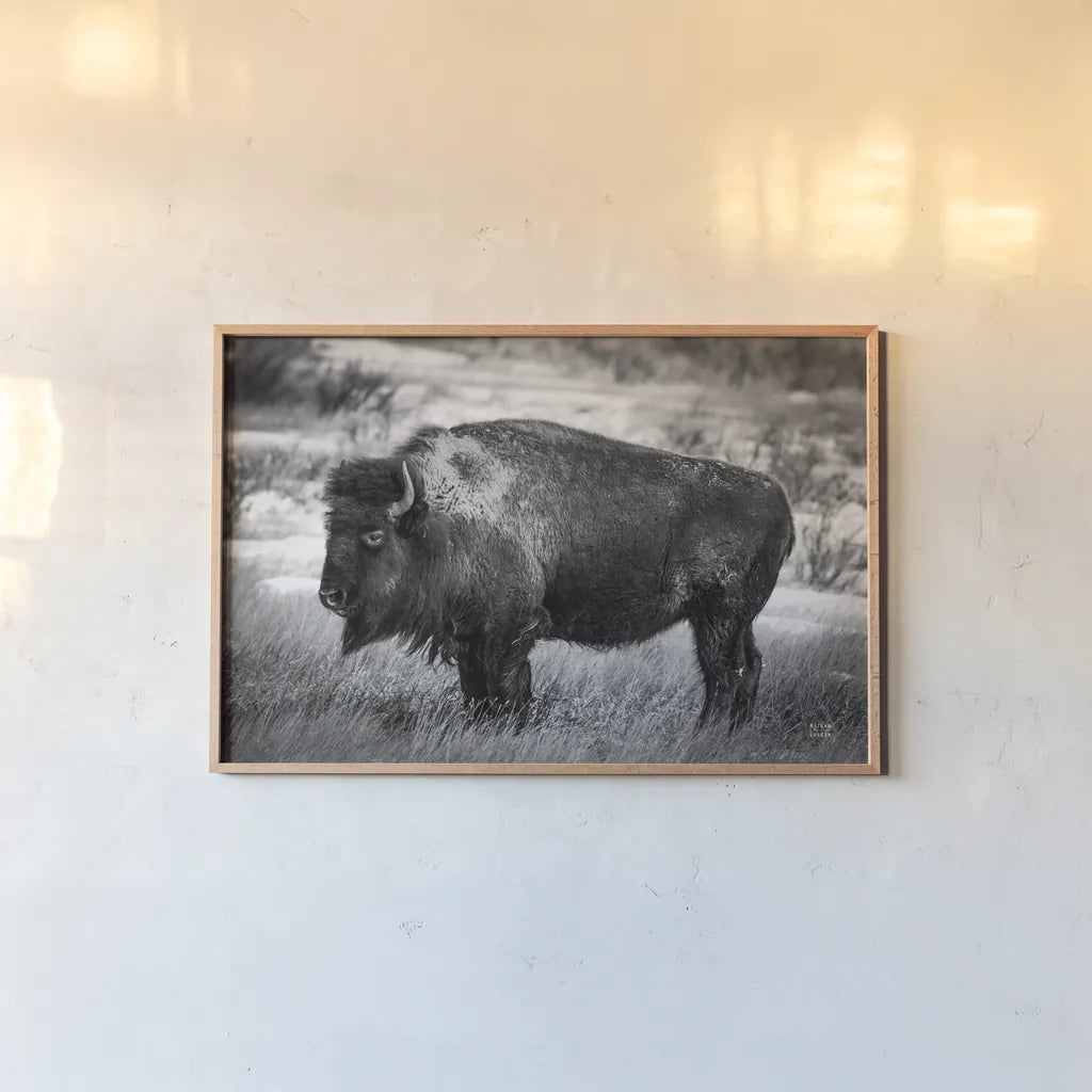 Solitary BW by Nathan Larson. shown as a paper print in a natural frame. Available as a archival giclee rolled canvas, fine art paper, or poster print. SKU 84315i.