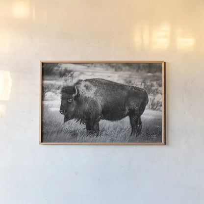 Solitary BW by Nathan Larson. shown as a paper print in a natural frame. Available as a archival giclee rolled canvas, fine art paper, or poster print. SKU 84315i.