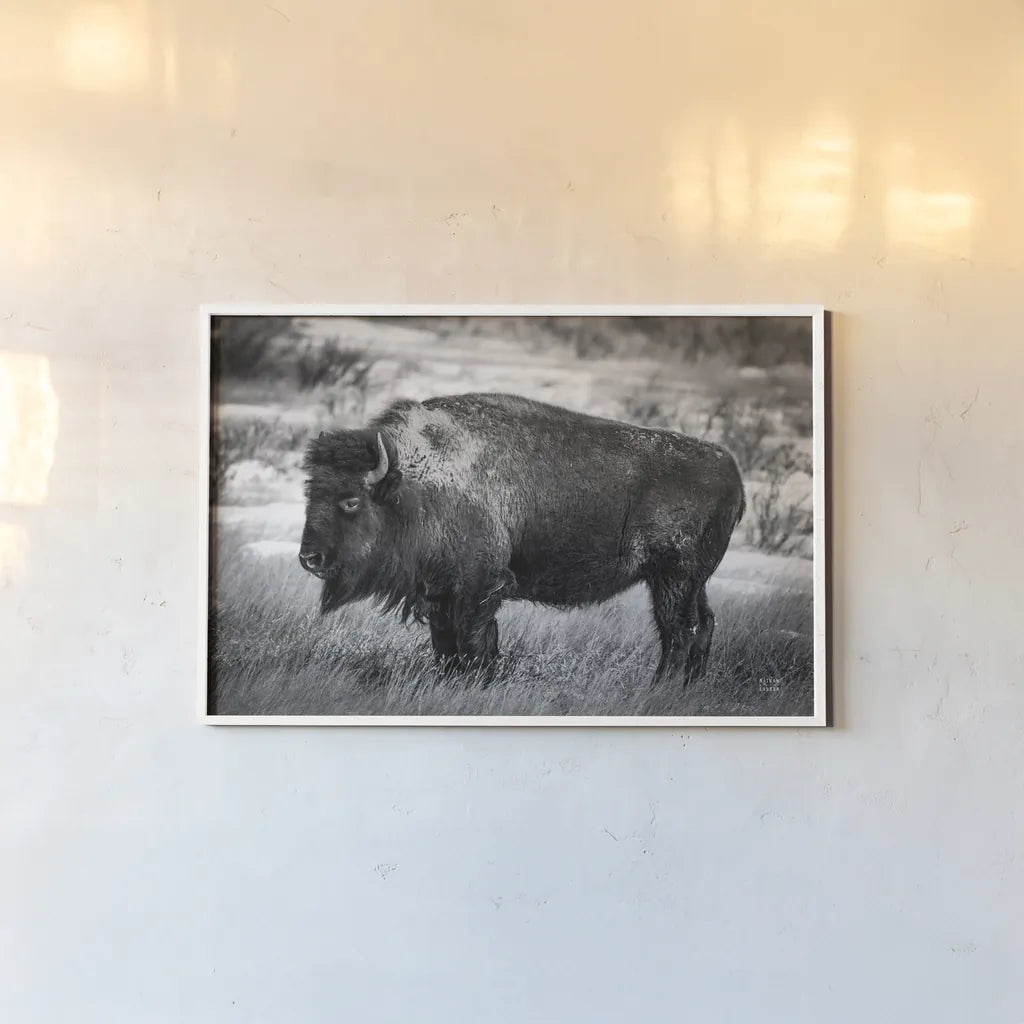Solitary BW by Nathan Larson. shown as a paper print in a white frame. Available as a archival giclee rolled canvas, fine art paper, or poster print. SKU 84315i.
