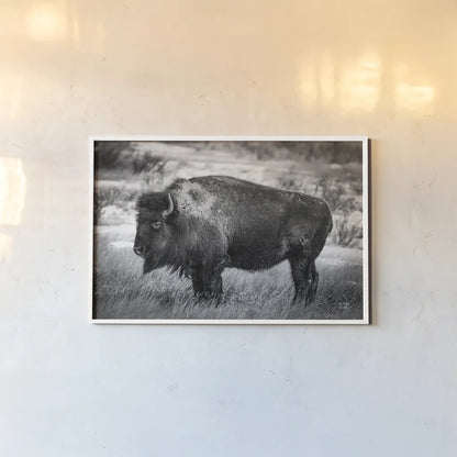 Solitary BW by Nathan Larson. shown as a paper print in a white frame. Available as a archival giclee rolled canvas, fine art paper, or poster print. SKU 84315i.