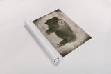 Solitary Sepia by Nathan Larson. shown as a rolled paper print. Available as archival giclee rolled canvas, fine art paper, or poster print. SKU 84316i.