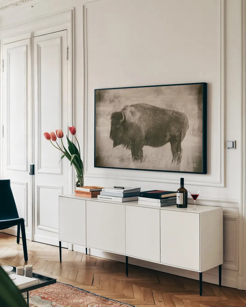 Solitary Sepia by Nathan Larson. shown as a framed stretched canvas in a living room above a console. Available as a archival giclee rolled canvas, fine art paper, or poster print. SKU 84316i.