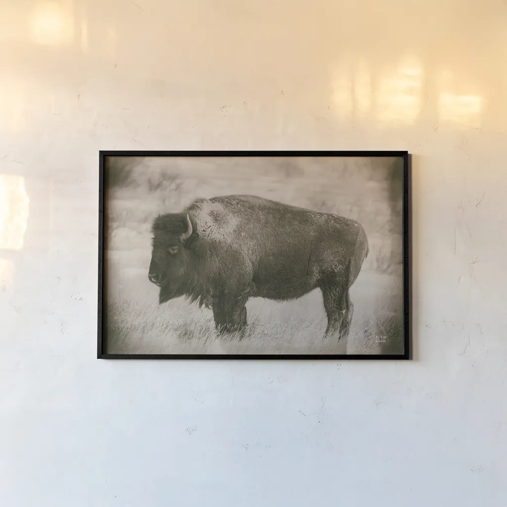 Solitary Sepia by Nathan Larson. shown as a paper print in a black flame. Available as a archival giclee rolled canvas, fine art paper, or poster print. SKU 84316i.