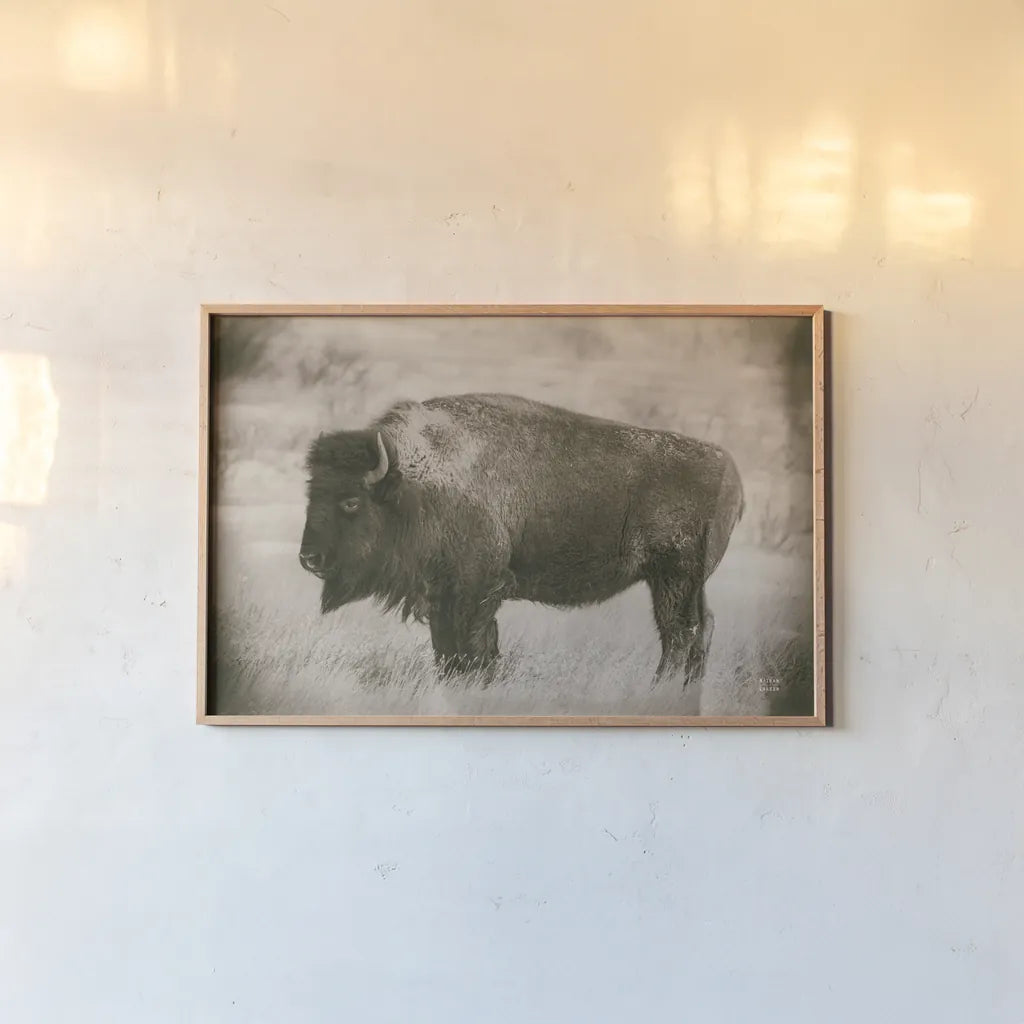 Solitary Sepia by Nathan Larson. shown as a paper print in a natural frame. Available as a archival giclee rolled canvas, fine art paper, or poster print. SKU 84316i.