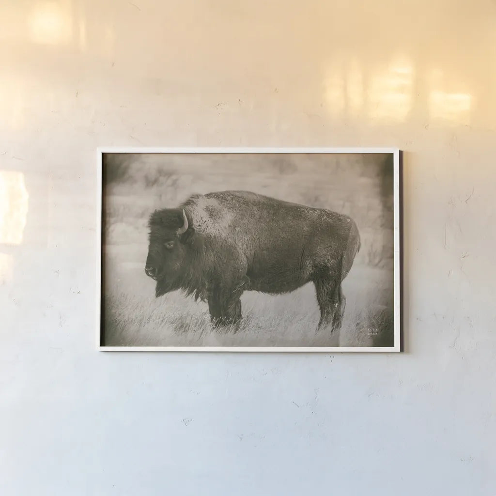 Solitary Sepia by Nathan Larson. shown as a paper print in a white frame. Available as a archival giclee rolled canvas, fine art paper, or poster print. SKU 84316i.