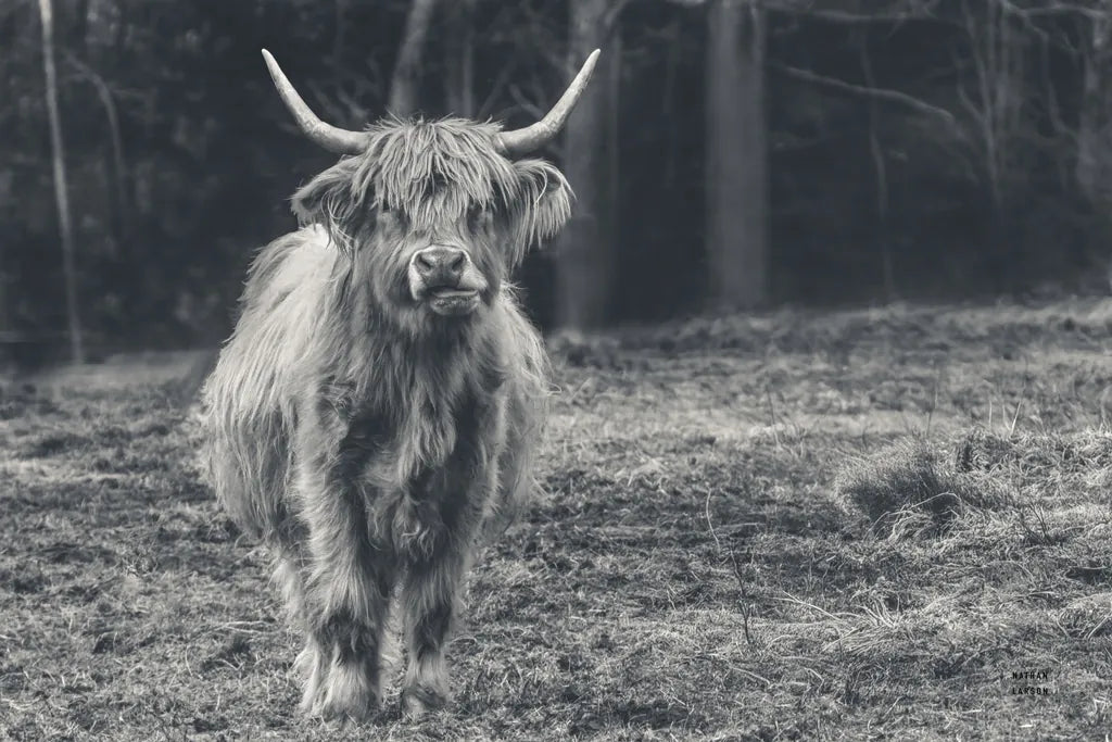 Something to Chew On by Nathan Larson. SKU 96548i. Archival Giclee Fine art print for wall decor.