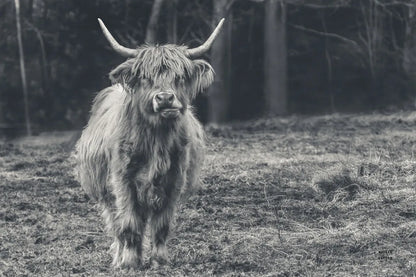 Something to Chew On by Nathan Larson. SKU 96548i. Archival Giclee Fine art print for wall decor.