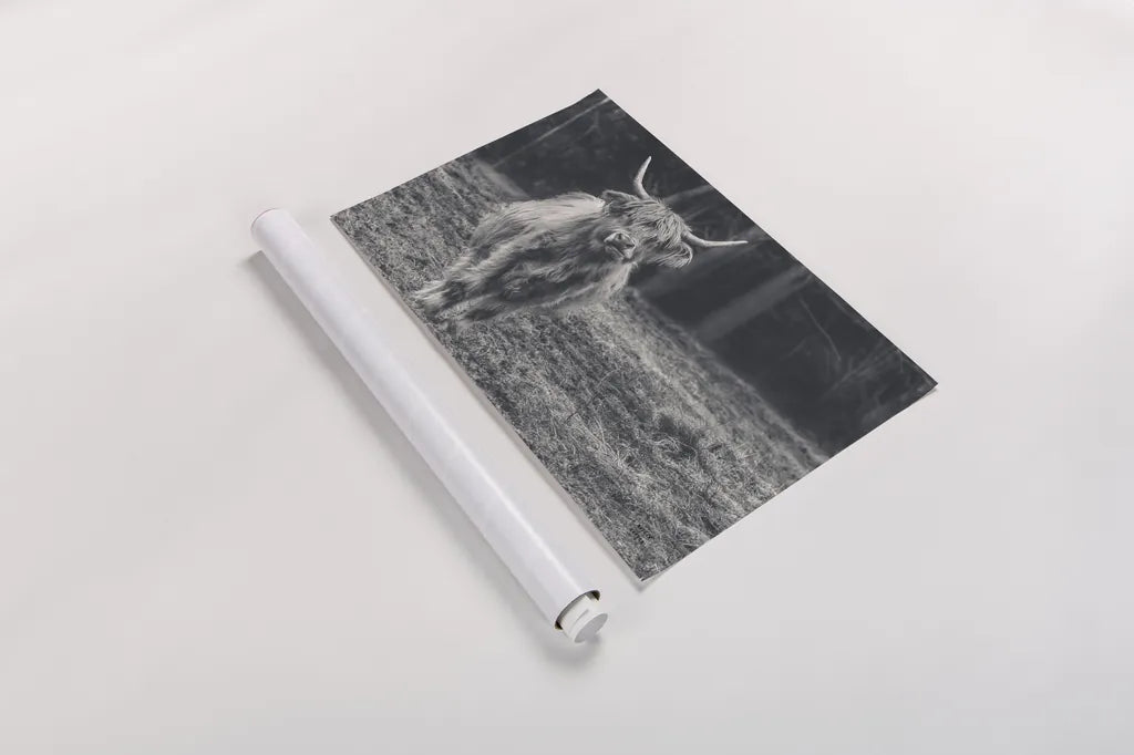 Something to Chew On by Nathan Larson. shown as a rolled paper print. Available as archival giclee rolled canvas, fine art paper, or poster print. SKU 96548i.