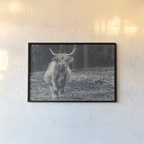 Something to Chew On by Nathan Larson. shown as a paper print in a black flame. Available as a archival giclee rolled canvas, fine art paper, or poster print. SKU 96548i.