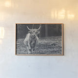 Something to Chew On by Nathan Larson. shown as a paper print in a natural frame. Available as a archival giclee rolled canvas, fine art paper, or poster print. SKU 96548i.