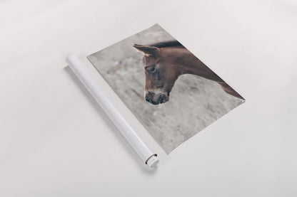 Son by Nathan Larson. shown as a rolled paper print. Available as archival giclee rolled canvas, fine art paper, or poster print. SKU 98633h.