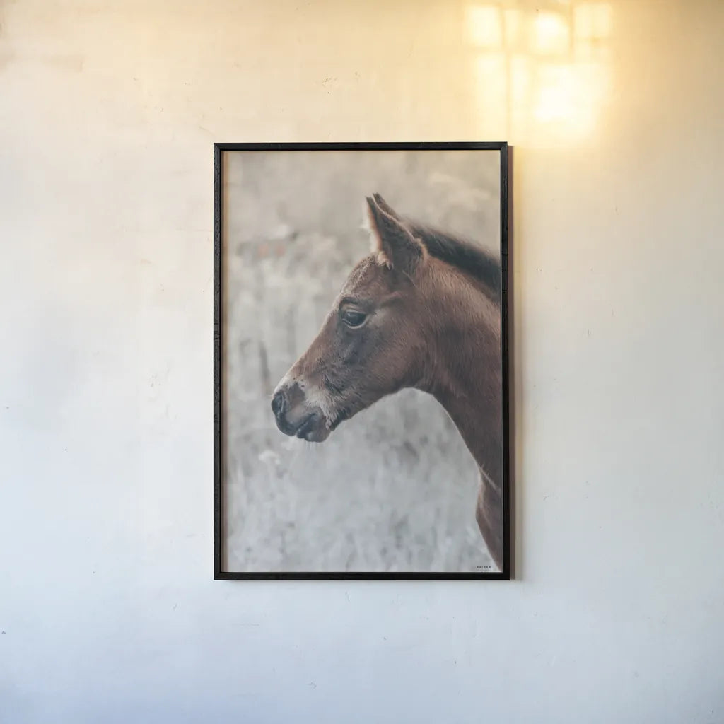 Son by Nathan Larson. shown as a paper print in a black flame. Available as a archival giclee rolled canvas, fine art paper, or poster print. SKU 98633h.