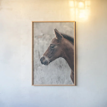 Son by Nathan Larson. shown as a paper print in a natural frame. Available as a archival giclee rolled canvas, fine art paper, or poster print. SKU 98633h.