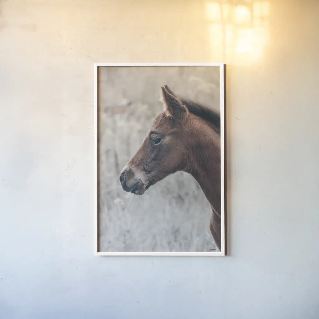 Son by Nathan Larson. shown as a paper print in a white frame. Available as a archival giclee rolled canvas, fine art paper, or poster print. SKU 98633h.