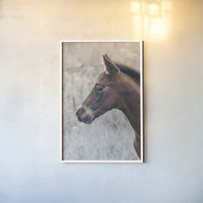 Son by Nathan Larson. shown as a paper print in a white frame. Available as a archival giclee rolled canvas, fine art paper, or poster print. SKU 98633h.