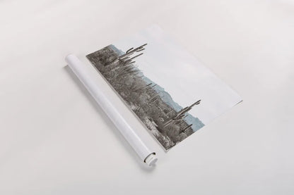 Sonoran Wonderland by Nathan Larson. shown as a rolled paper print. Available as archival giclee rolled canvas, fine art paper, or poster print. SKU 90439i.