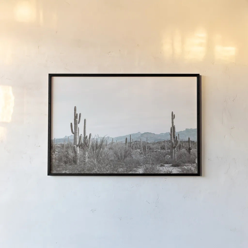 Sonoran Wonderland by Nathan Larson. shown as a paper print in a black flame. Available as a archival giclee rolled canvas, fine art paper, or poster print. SKU 90439i.