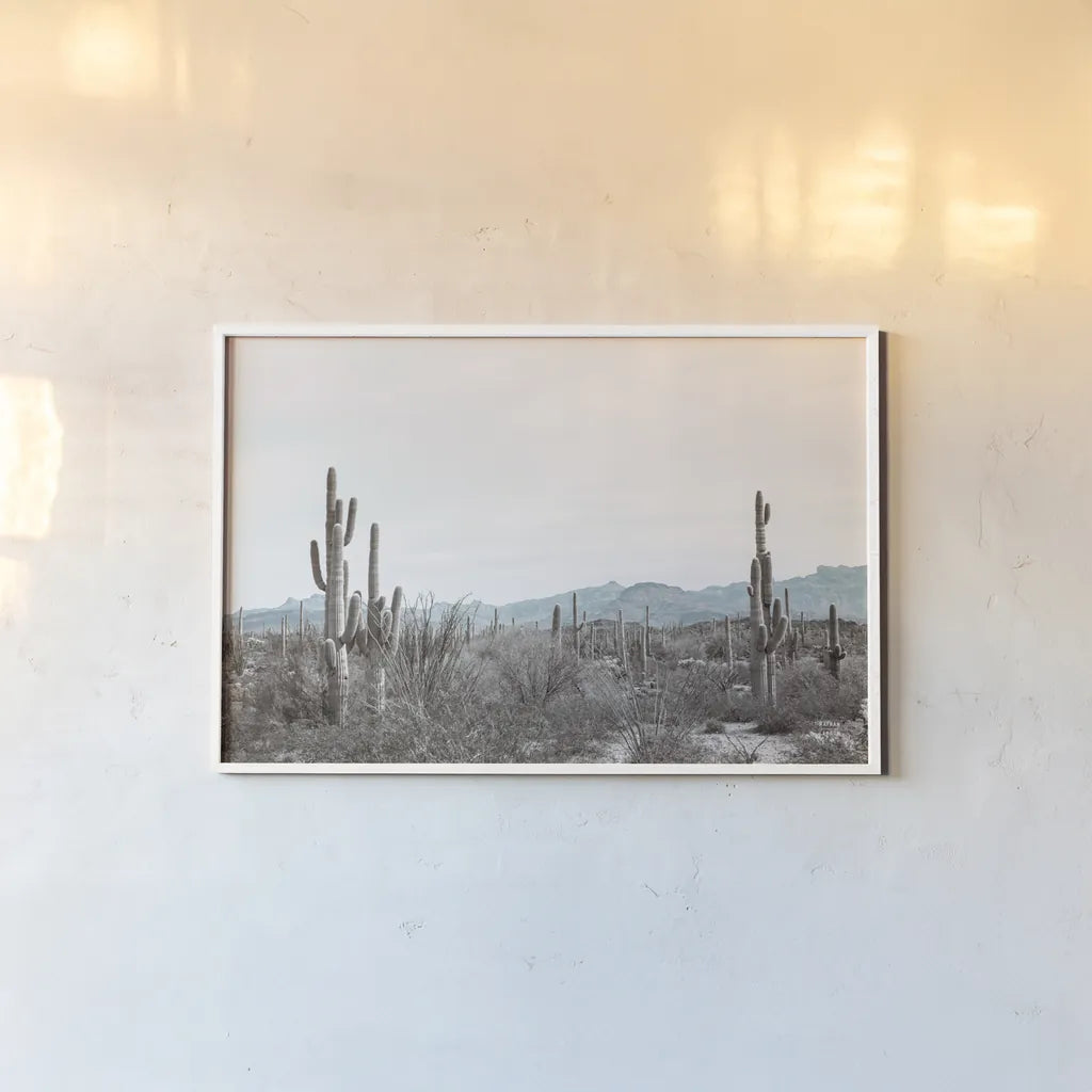 Sonoran Wonderland by Nathan Larson. shown as a paper print in a white frame. Available as a archival giclee rolled canvas, fine art paper, or poster print. SKU 90439i.