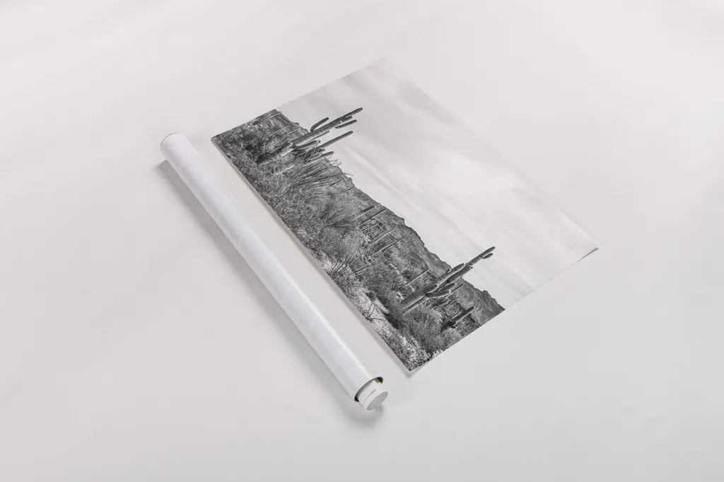 Sonoran Wonderland BW by Nathan Larson. shown as a rolled paper print. Available as archival giclee rolled canvas, fine art paper, or poster print. SKU 90440i.