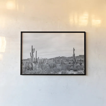 Sonoran Wonderland BW by Nathan Larson. shown as a paper print in a black flame. Available as a archival giclee rolled canvas, fine art paper, or poster print. SKU 90440i.