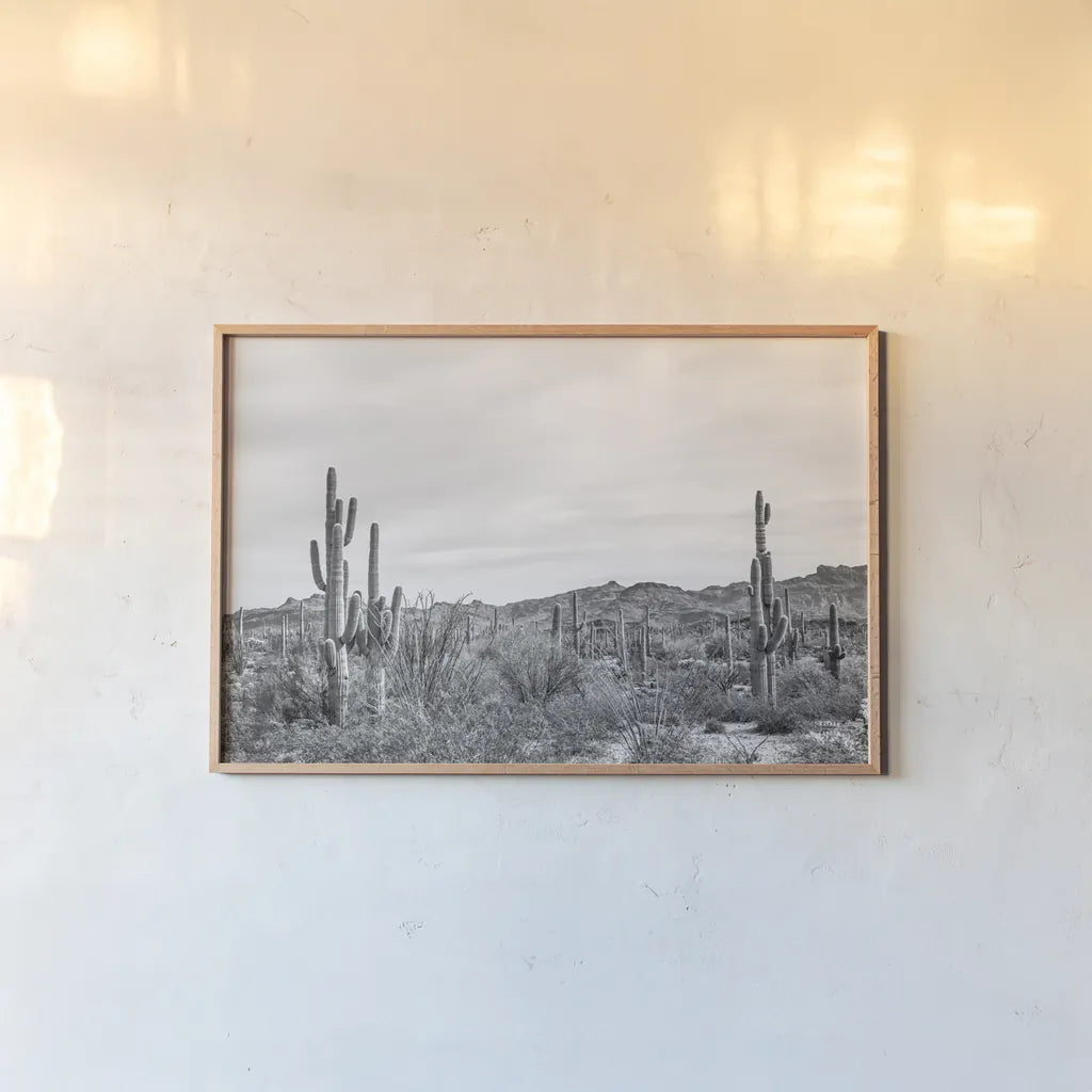 Sonoran Wonderland BW by Nathan Larson. shown as a paper print in a natural frame. Available as a archival giclee rolled canvas, fine art paper, or poster print. SKU 90440i.