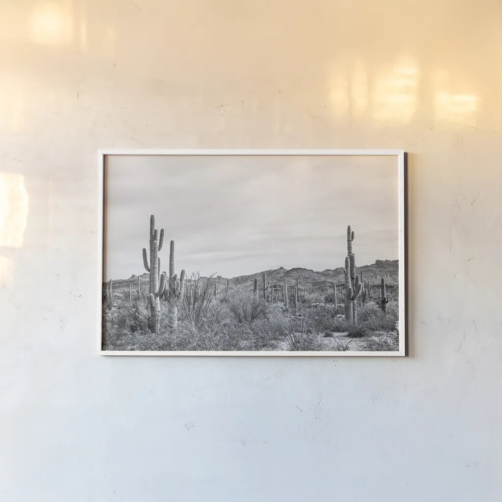 Sonoran Wonderland BW by Nathan Larson. shown as a paper print in a white frame. Available as a archival giclee rolled canvas, fine art paper, or poster print. SKU 90440i.