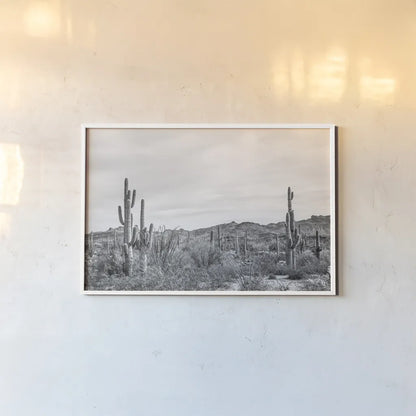 Sonoran Wonderland BW by Nathan Larson. shown as a paper print in a white frame. Available as a archival giclee rolled canvas, fine art paper, or poster print. SKU 90440i.