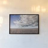 Soy Fields by Nathan Larson. shown as a paper print in a black flame. Available as a archival giclee rolled canvas, fine art paper, or poster print. SKU 86417i.