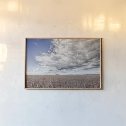 Soy Fields by Nathan Larson. shown as a paper print in a natural frame. Available as a archival giclee rolled canvas, fine art paper, or poster print. SKU 86417i.