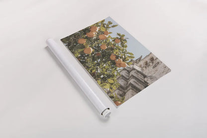 Spanish Islands Oranges by Nathan Larson. shown as a rolled paper print. Available as archival giclee rolled canvas, fine art paper, or poster print. SKU 85804i.