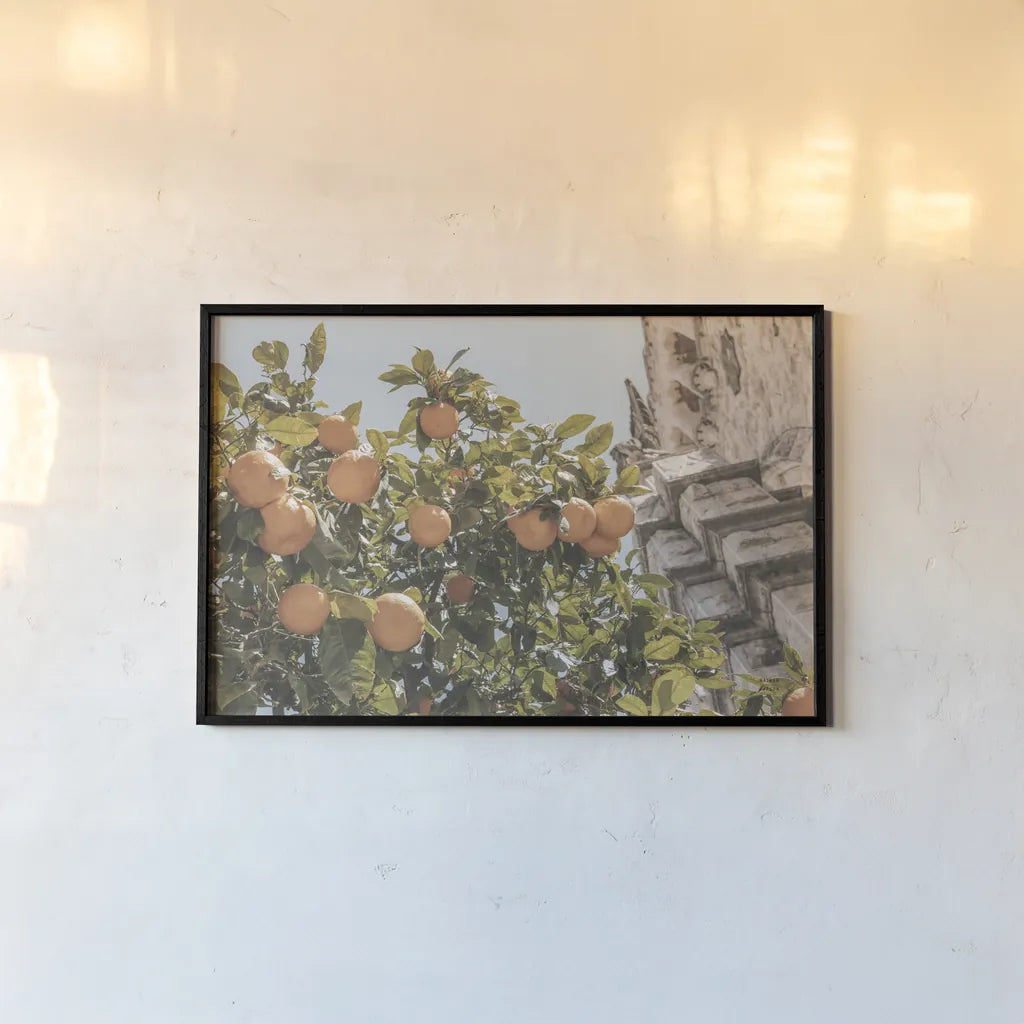 Spanish Islands Oranges by Nathan Larson. shown as a paper print in a black flame. Available as a archival giclee rolled canvas, fine art paper, or poster print. SKU 85804i.