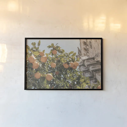 Spanish Islands Oranges by Nathan Larson. shown as a paper print in a black flame. Available as a archival giclee rolled canvas, fine art paper, or poster print. SKU 85804i.