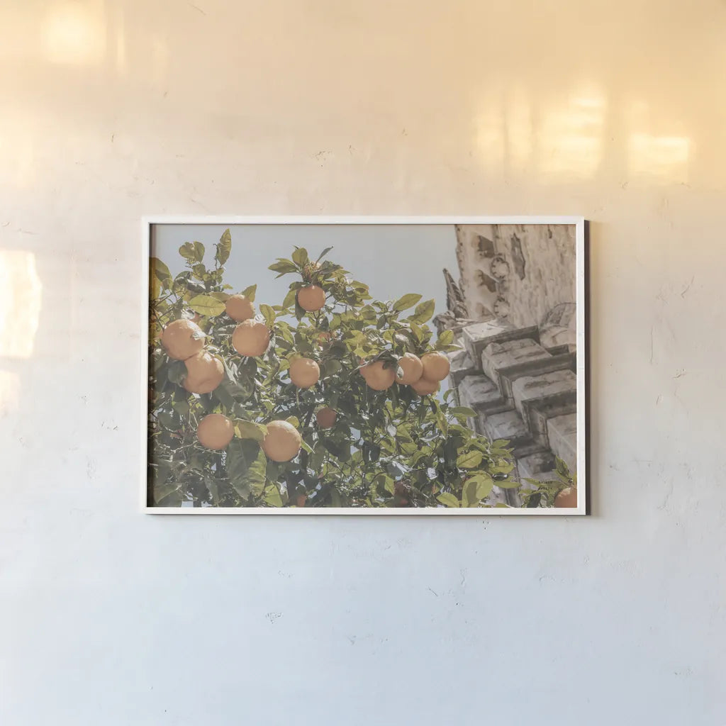 Spanish Islands Oranges by Nathan Larson. shown as a paper print in a white frame. Available as a archival giclee rolled canvas, fine art paper, or poster print. SKU 85804i.