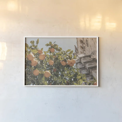 Spanish Islands Oranges by Nathan Larson. shown as a paper print in a white frame. Available as a archival giclee rolled canvas, fine art paper, or poster print. SKU 85804i.