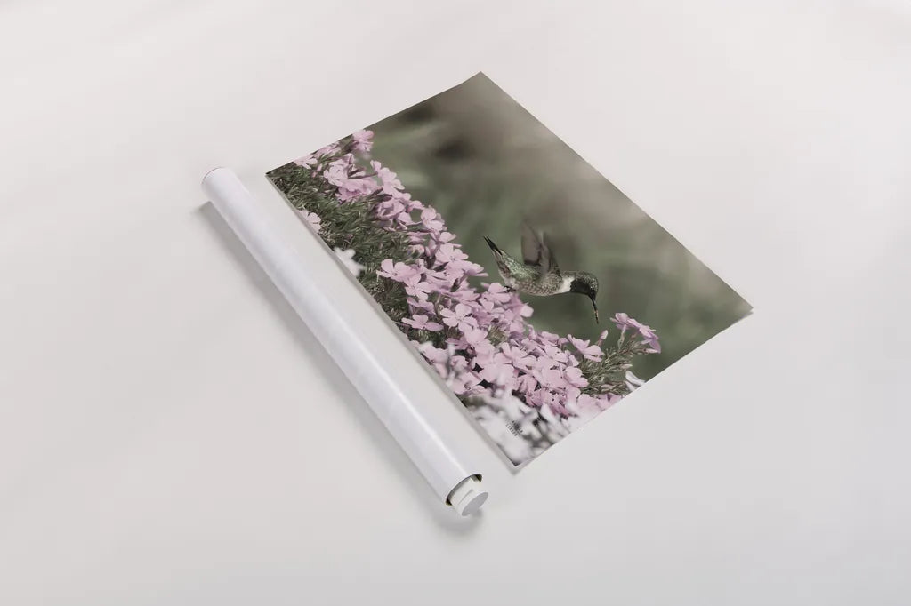 Spring Hummingbird by Nathan Larson. shown as a rolled paper print. Available as archival giclee rolled canvas, fine art paper, or poster print. SKU 79333i.