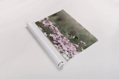 Spring Hummingbird by Nathan Larson. shown as a rolled paper print. Available as archival giclee rolled canvas, fine art paper, or poster print. SKU 79333i.