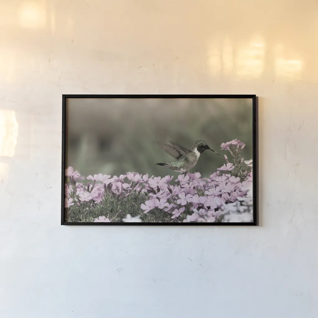 Spring Hummingbird by Nathan Larson. shown as a paper print in a black flame. Available as a archival giclee rolled canvas, fine art paper, or poster print. SKU 79333i.