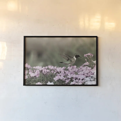 Spring Hummingbird by Nathan Larson. shown as a paper print in a black flame. Available as a archival giclee rolled canvas, fine art paper, or poster print. SKU 79333i.