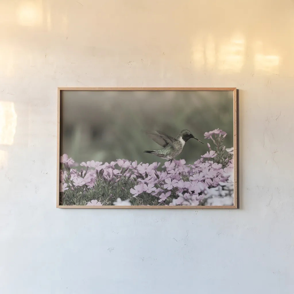 Spring Hummingbird by Nathan Larson. shown as a paper print in a natural frame. Available as a archival giclee rolled canvas, fine art paper, or poster print. SKU 79333i.