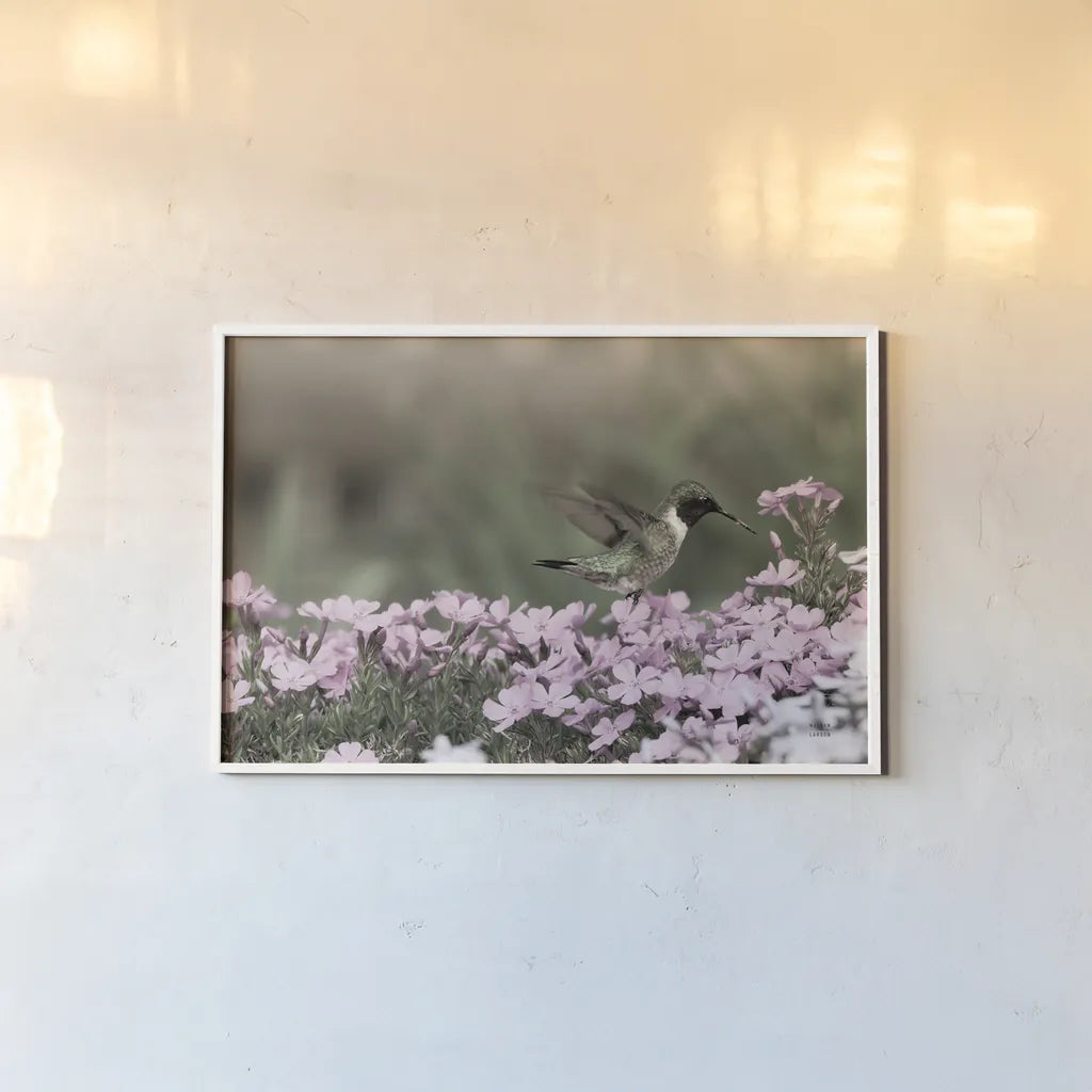 Spring Hummingbird by Nathan Larson. shown as a paper print in a white frame. Available as a archival giclee rolled canvas, fine art paper, or poster print. SKU 79333i.