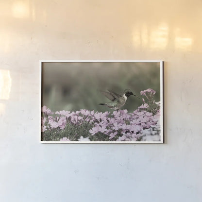 Spring Hummingbird by Nathan Larson. shown as a paper print in a white frame. Available as a archival giclee rolled canvas, fine art paper, or poster print. SKU 79333i.