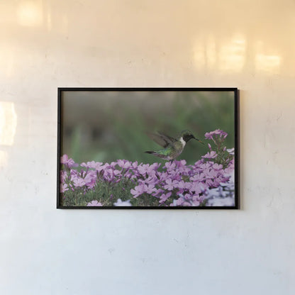 Spring Hummingbird Bright by Nathan Larson. shown as a paper print in a black flame. Available as a archival giclee rolled canvas, fine art paper, or poster print. SKU 79334i.